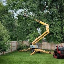 Reliable Springdale, NJ Tree Removal Solutions