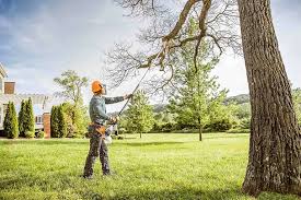 Best Weed Control  in Springdale, NJ