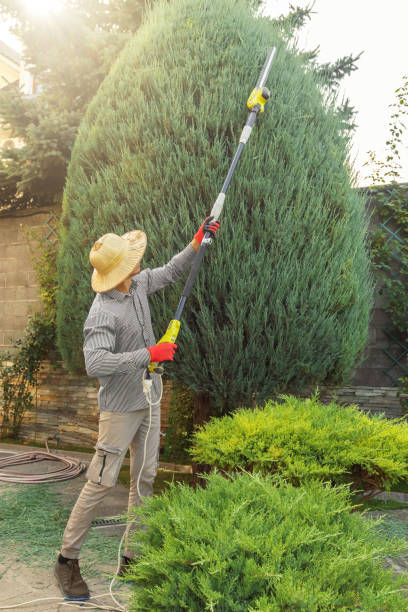 Best Utility Line Clearance  in Springdale, NJ